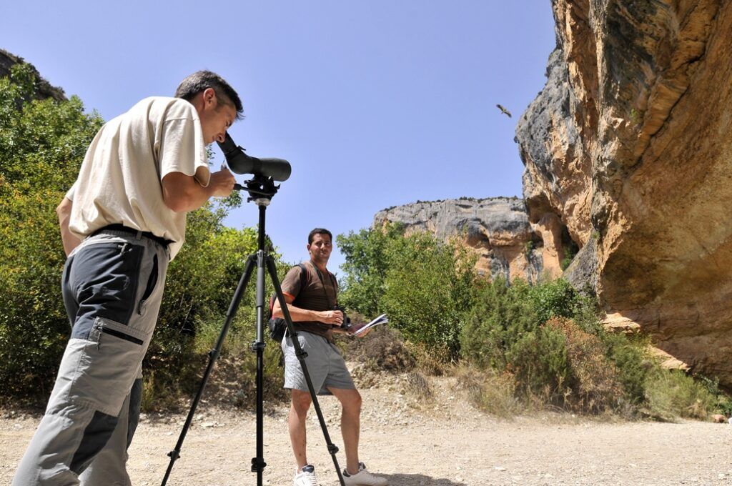 Fotografía actividad de observación de aves en la Sierra de Guara