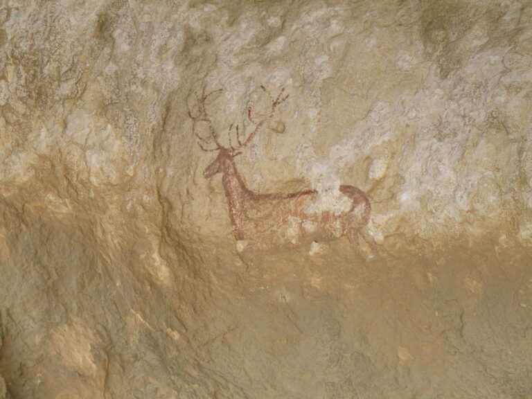 Fotografía pinturas rupestres en la Sierra de Guara