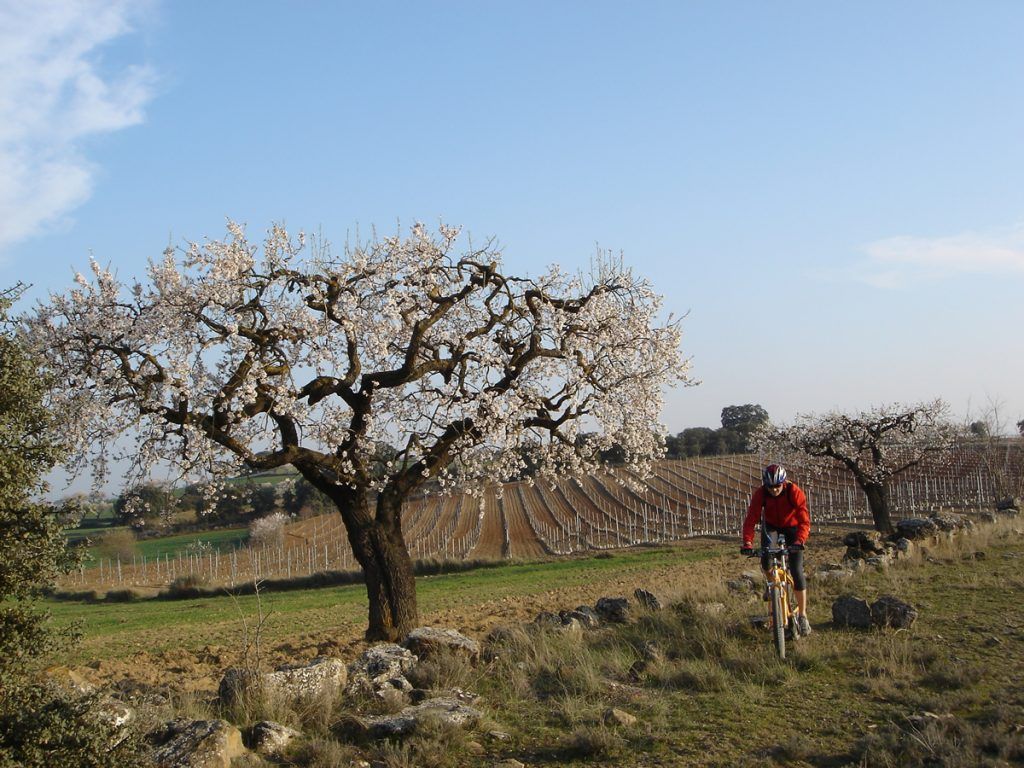 Fotografía actividad de BTT en la Sierra de Guara